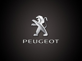  25%      Peugeot 301