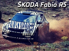 Skoda    Fabia R5