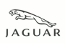 Jaguar  ()